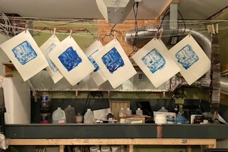 Cyanotype: Wet and Traditional